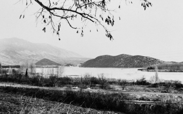Δασική ιστορία